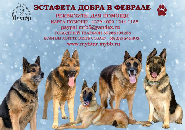http://upforme.ru/uploads/0018/1d/e0/2/t88031.jpg