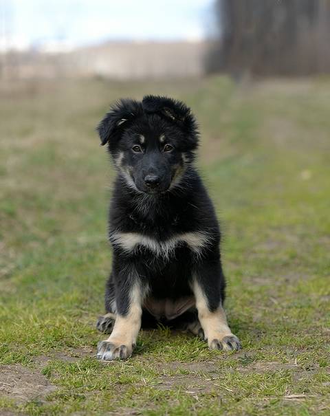 http://upforme.ru/uploads/0018/1d/e0/2/t926528.jpg