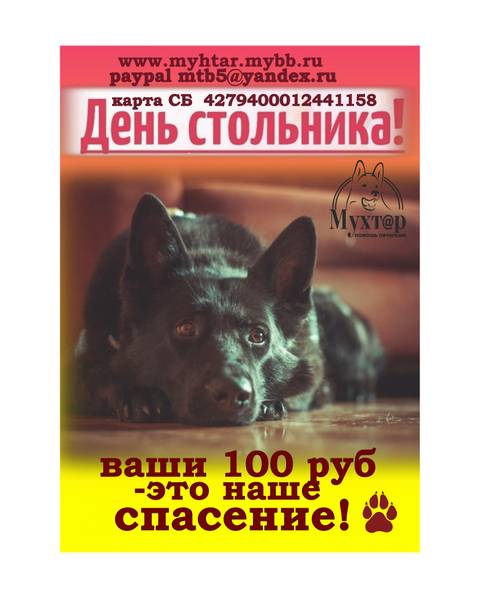 http://upforme.ru/uploads/0018/1d/e0/2/t94790.jpg
