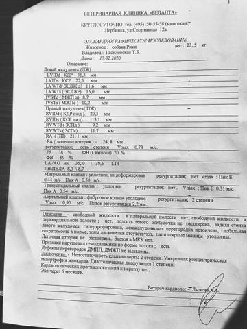 http://upforme.ru/uploads/0018/1d/e0/84/t29499.jpg