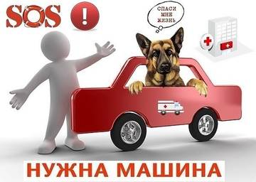 http://upforme.ru/uploads/0018/1d/e0/84/t34614.jpg