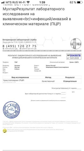 http://upforme.ru/uploads/0018/1d/e0/84/t50056.jpg