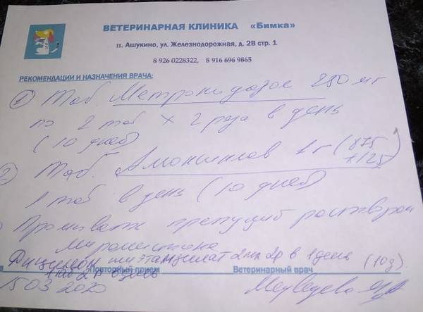 http://upforme.ru/uploads/0018/1d/e0/84/t56823.jpg