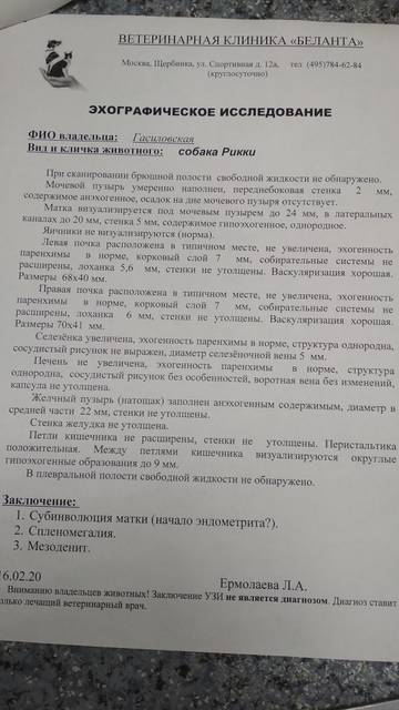 http://upforme.ru/uploads/0018/1d/e0/84/t59379.jpg
