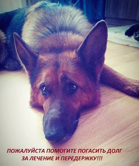 http://upforme.ru/uploads/0018/1d/e0/84/t81053.jpg