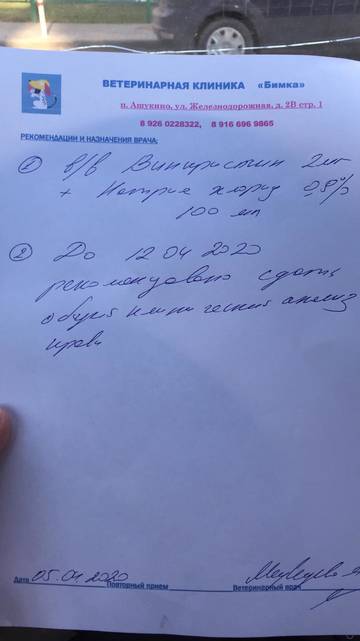 http://upforme.ru/uploads/0018/1d/e0/84/t82875.jpg