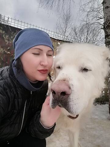 http://upforme.ru/uploads/0018/25/3e/2/t313777.jpg