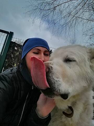 http://upforme.ru/uploads/0018/25/3e/2/t314113.jpg
