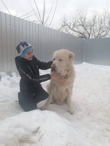 http://upforme.ru/uploads/0018/25/3e/2/t364631.jpg