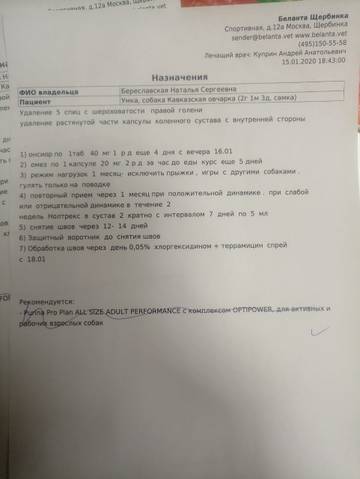 http://upforme.ru/uploads/0018/25/3e/2/t55119.jpg