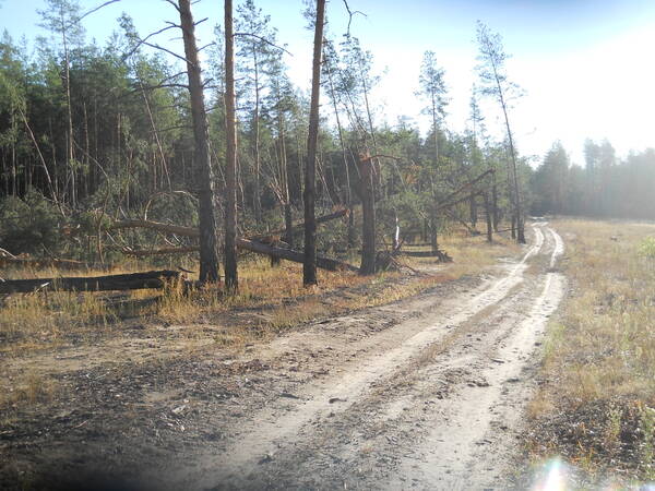 http://upforme.ru/uploads/0018/2a/61/65/t303262.jpg