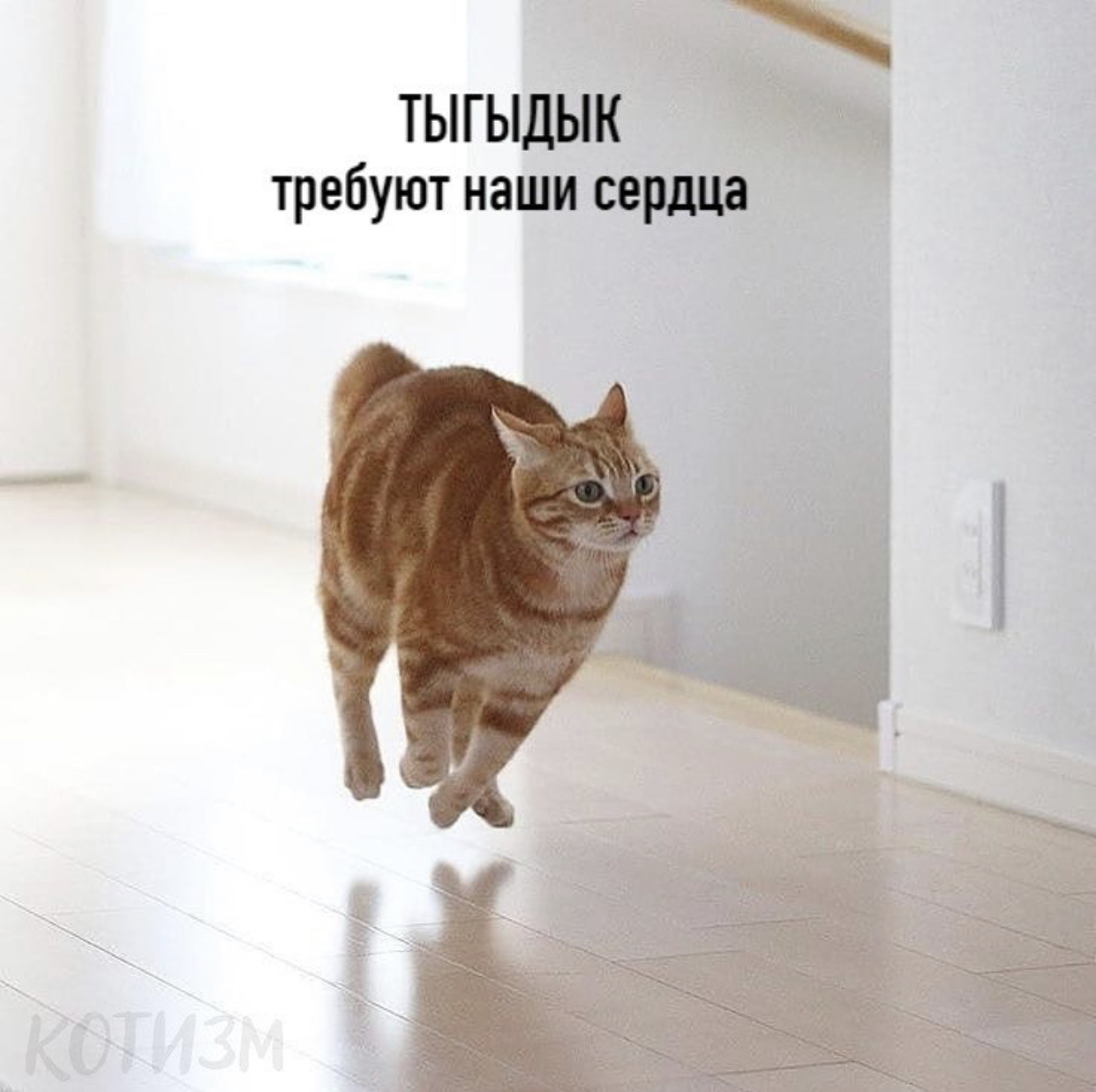 http://upforme.ru/uploads/0018/2c/77/2/321460.jpg