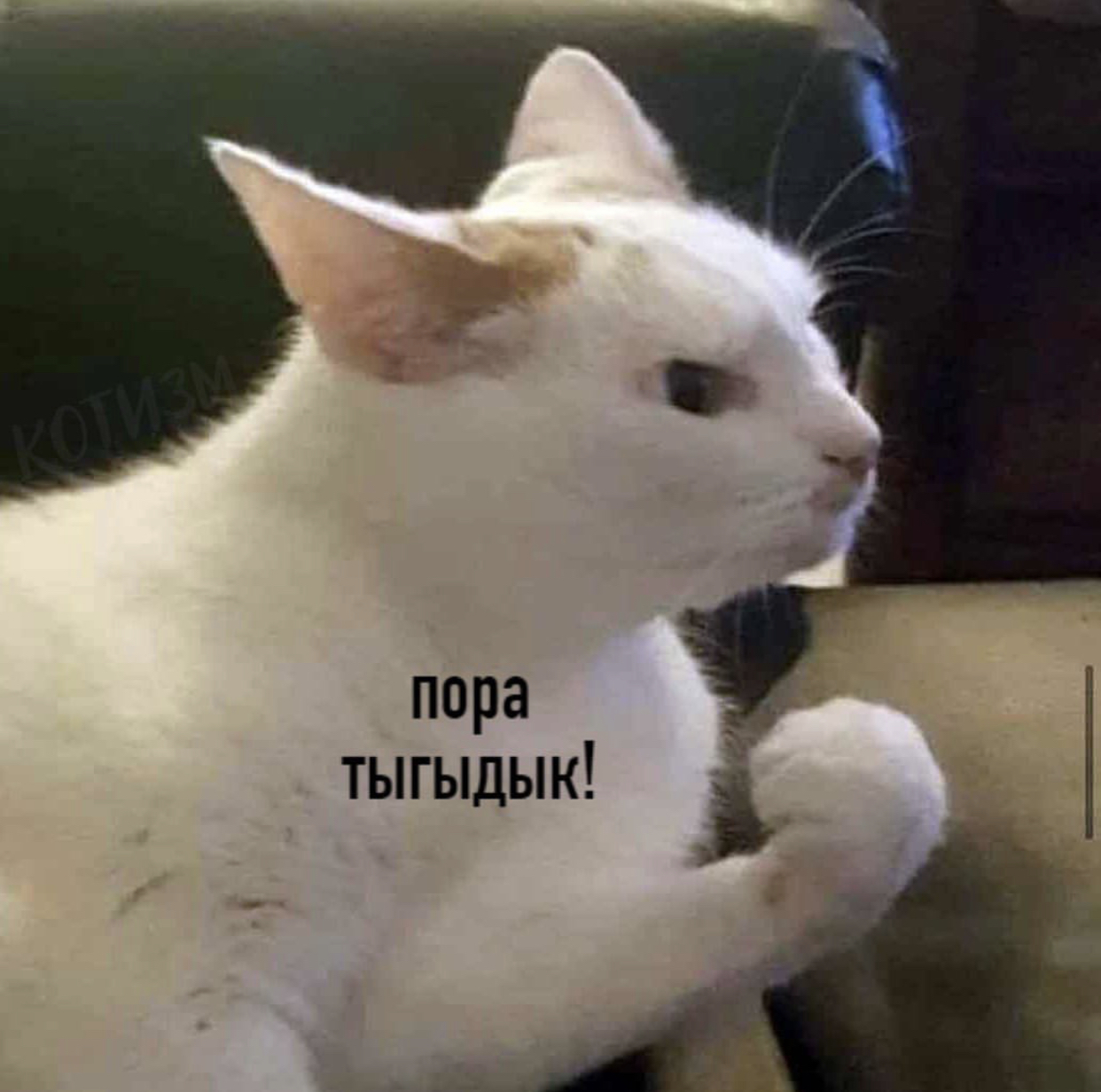 http://upforme.ru/uploads/0018/2c/77/2/647265.jpg