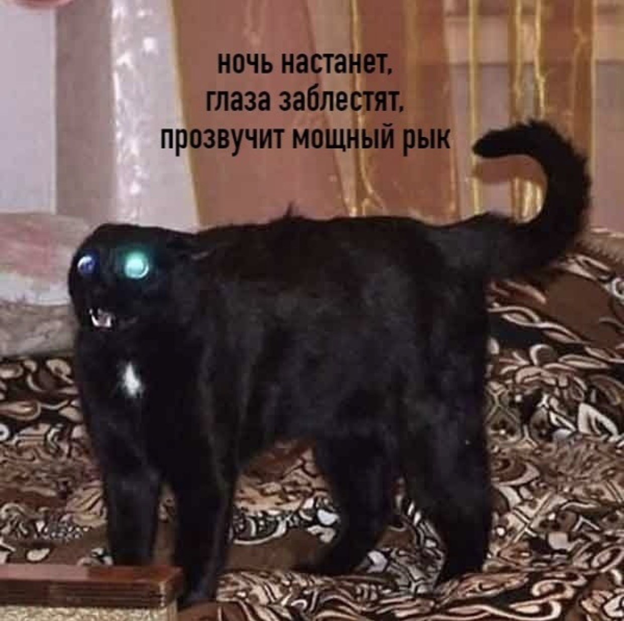 http://upforme.ru/uploads/0018/2c/77/2/686845.jpg
