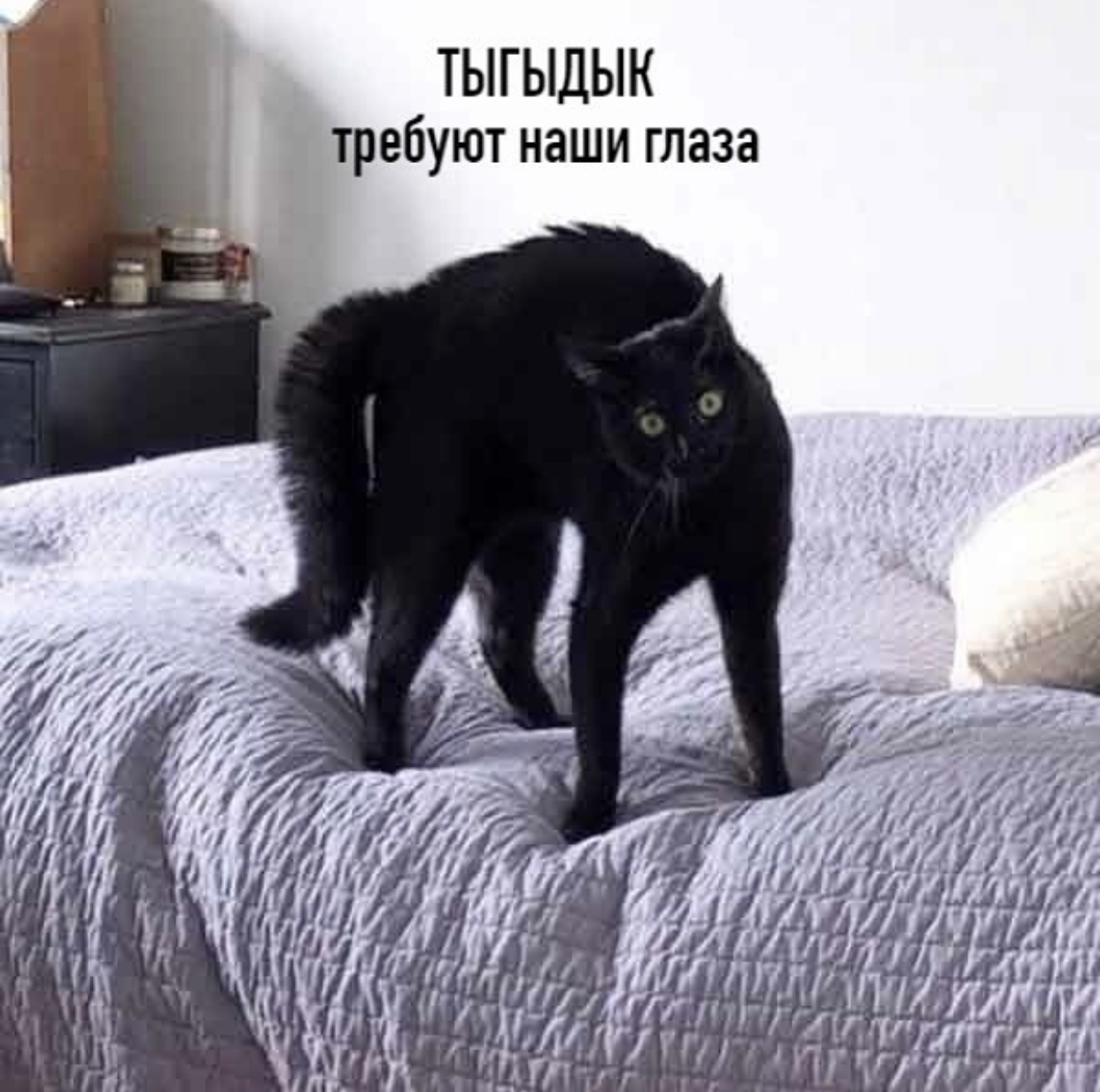 http://upforme.ru/uploads/0018/2c/77/2/828079.jpg