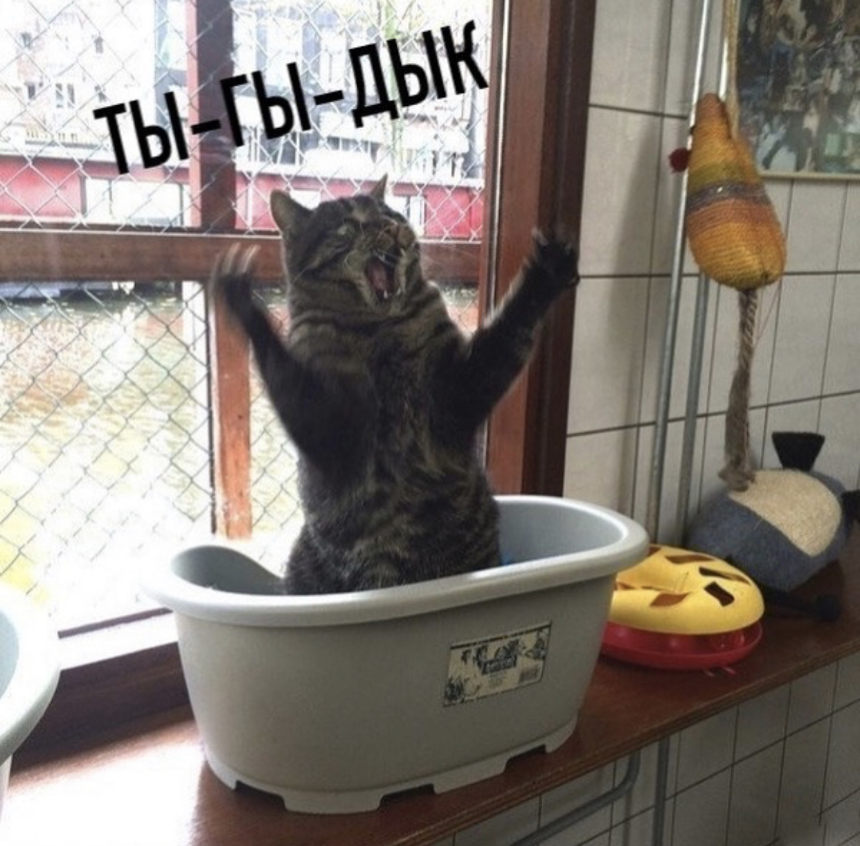 http://upforme.ru/uploads/0018/2c/77/2/938532.jpg