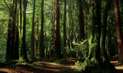 http://upforme.ru/uploads/0018/2c/77/347/152915.gif