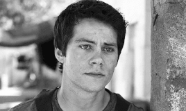 http://upforme.ru/uploads/0018/2c/77/439/41535.gif