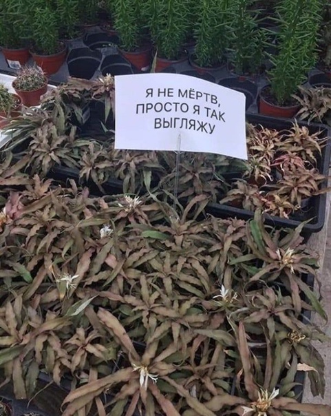 http://upforme.ru/uploads/0018/2c/77/530/104312.jpg