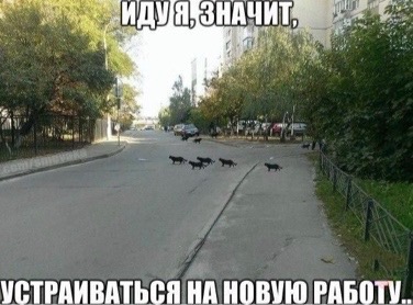 http://upforme.ru/uploads/0018/2c/77/530/30300.jpg