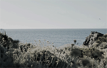 http://upforme.ru/uploads/0018/2c/77/531/t759761.gif