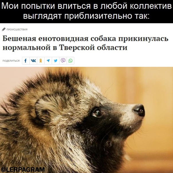 http://upforme.ru/uploads/0018/2c/77/547/257071.jpg