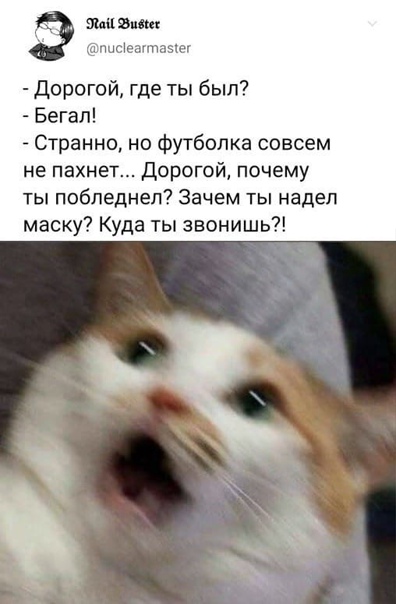http://upforme.ru/uploads/0018/2c/77/547/790067.jpg