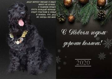 http://upforme.ru/uploads/0018/2c/a1/3/t63141.jpg