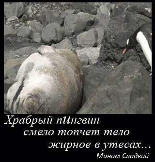 http://upforme.ru/uploads/0018/4f/b7/2/t15695.gif