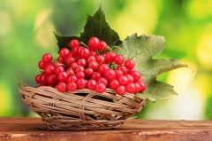 http://upforme.ru/uploads/0018/4f/b7/2/t240525.jpg