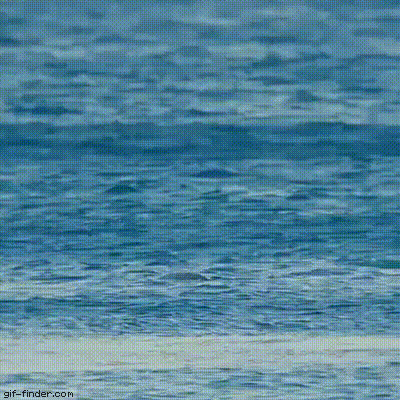 http://upforme.ru/uploads/0018/4f/b7/2/t353329.gif