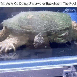 http://upforme.ru/uploads/0018/4f/b7/2/t367996.gif