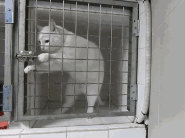 http://upforme.ru/uploads/0018/4f/b7/2/t421638.gif