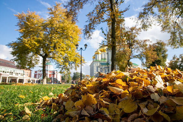 http://upforme.ru/uploads/0018/4f/b7/2/t624972.jpg