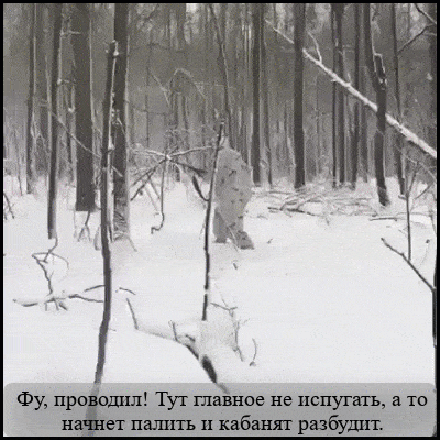 http://upforme.ru/uploads/0018/4f/b7/2/t630466.gif