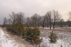 http://upforme.ru/uploads/0018/4f/b7/2/t731239.jpg