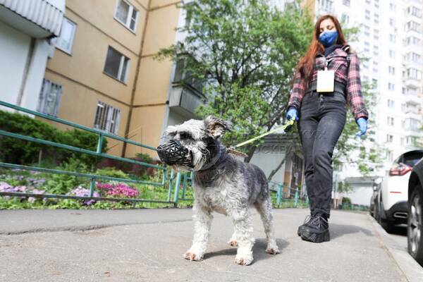 http://upforme.ru/uploads/0018/4f/b7/2/t789170.jpg