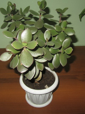 http://upforme.ru/uploads/0018/4f/b7/2/t79068.jpg