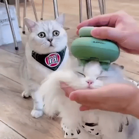 http://upforme.ru/uploads/0018/4f/b7/2/t897098.gif