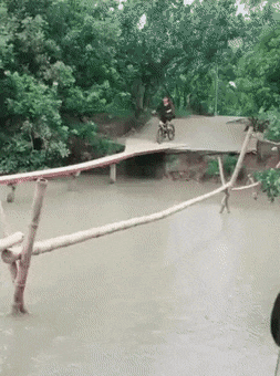 http://upforme.ru/uploads/0018/4f/b7/2/t914960.gif