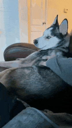 http://upforme.ru/uploads/0018/4f/b7/2/t95065.gif