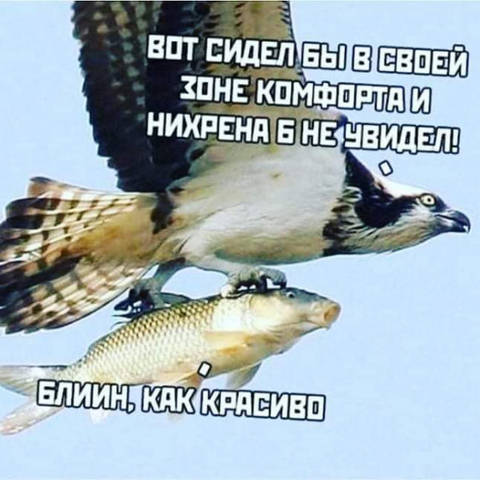 http://upforme.ru/uploads/0018/4f/b7/2/t99968.jpg