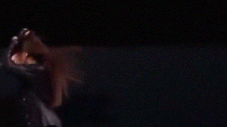 http://upforme.ru/uploads/0018/4f/e9/3/t628698.gif