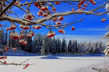 http://upforme.ru/uploads/0018/50/71/2/t103644.webp