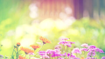 http://upforme.ru/uploads/0018/50/71/2/t199431.jpg