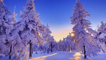 http://upforme.ru/uploads/0018/50/71/2/t486227.jpg
