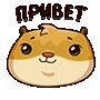 http://upforme.ru/uploads/0018/50/71/2/t504625.gif