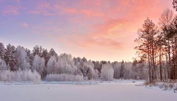http://upforme.ru/uploads/0018/50/71/2/t726664.jpg