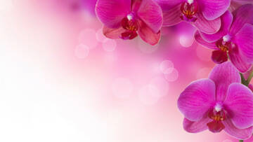 http://upforme.ru/uploads/0018/50/71/2/t813389.jpg