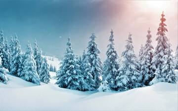 http://upforme.ru/uploads/0018/50/71/2/t871952.jpg